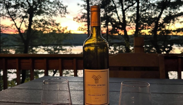 The Sauna Cottage on Keuka Lake - Wine Trail Retreat