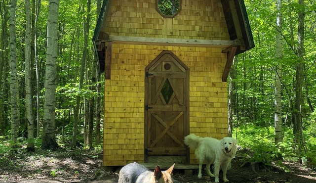 This woods cabin is a true wilderness getaway. Get ready to commune with nature.