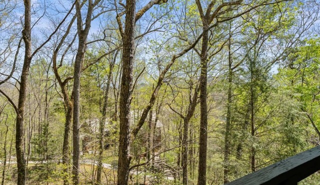 Tree-View Studio | Walk-In Shower | Balcony in Townsend