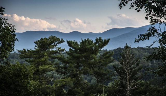 Vast Sky Mountain View Studio located just North of Downtown Asheville Walking!