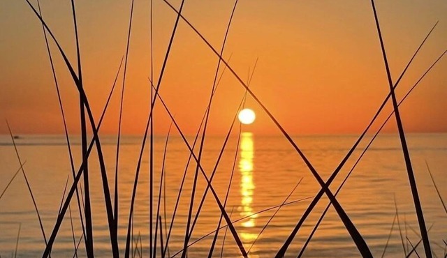 Your private beach! RARE 6Nights available Jun27-Jul3, 20% discount promo!