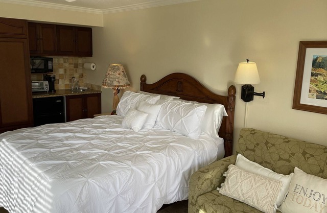Studio Condo at ocean front resort with pool and ocean views