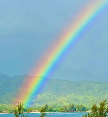 Princeville Resort | BBs Biz E HBR 4104/5/6