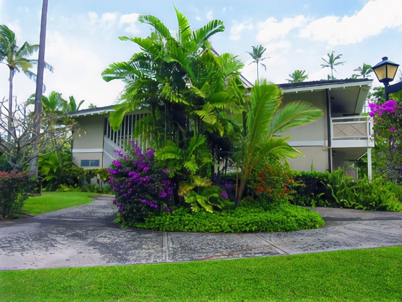 Photo of Buildings in Wailua