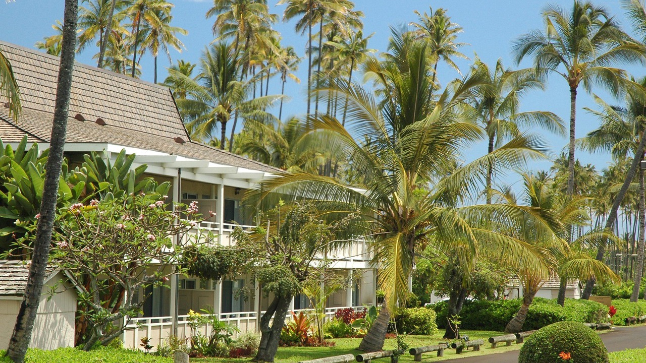 Photo of Others in Wailua