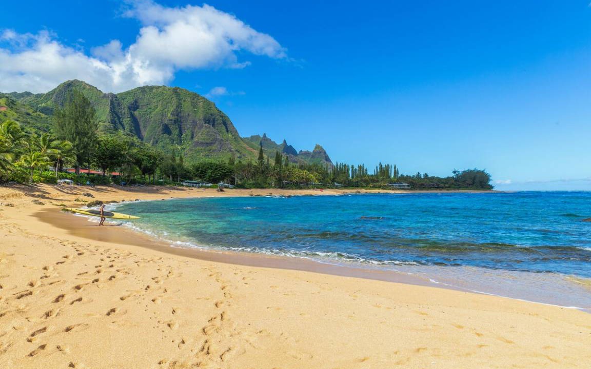 Photo of Others in Wainiha