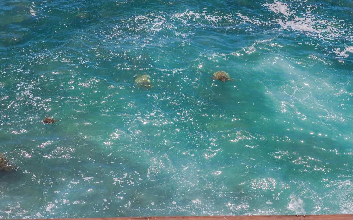 Photo of Others in Poipu