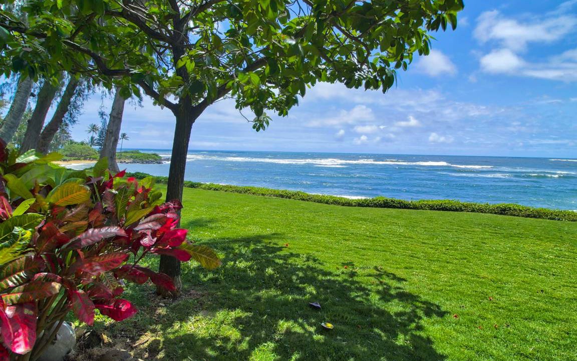 Photo of Others in Wailua House Lots