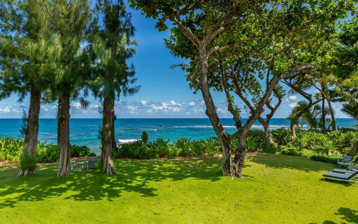 Photo of Others in Wainiha
