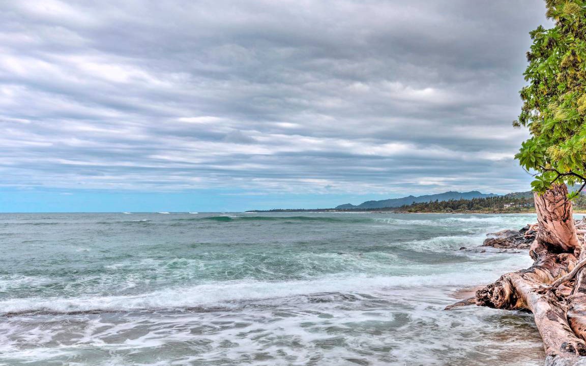 Photo of Others in Wailua