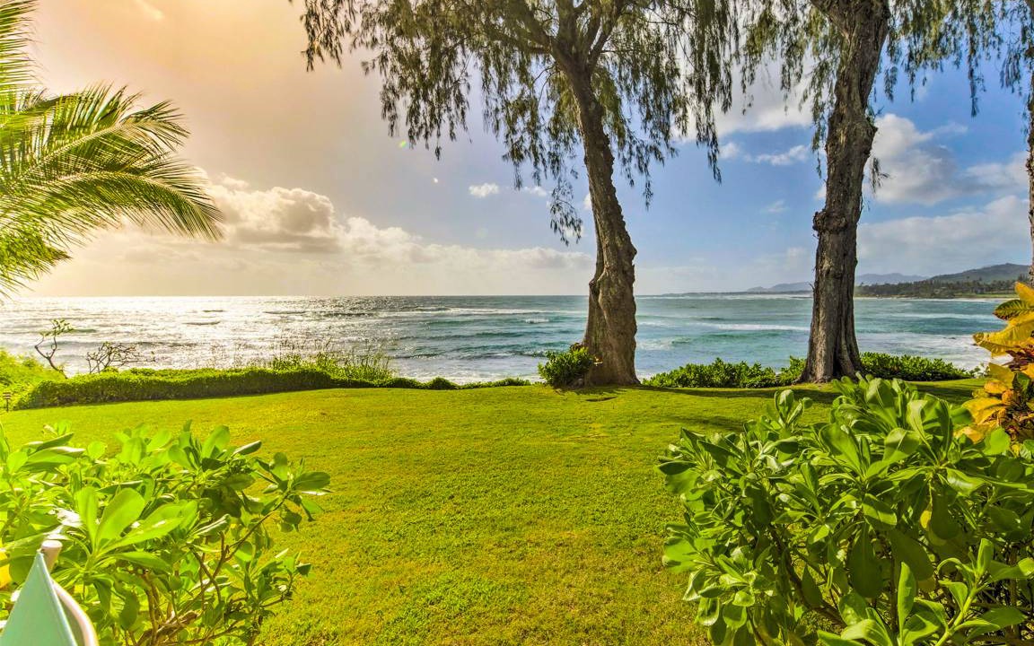 Photo of Others in Wailua