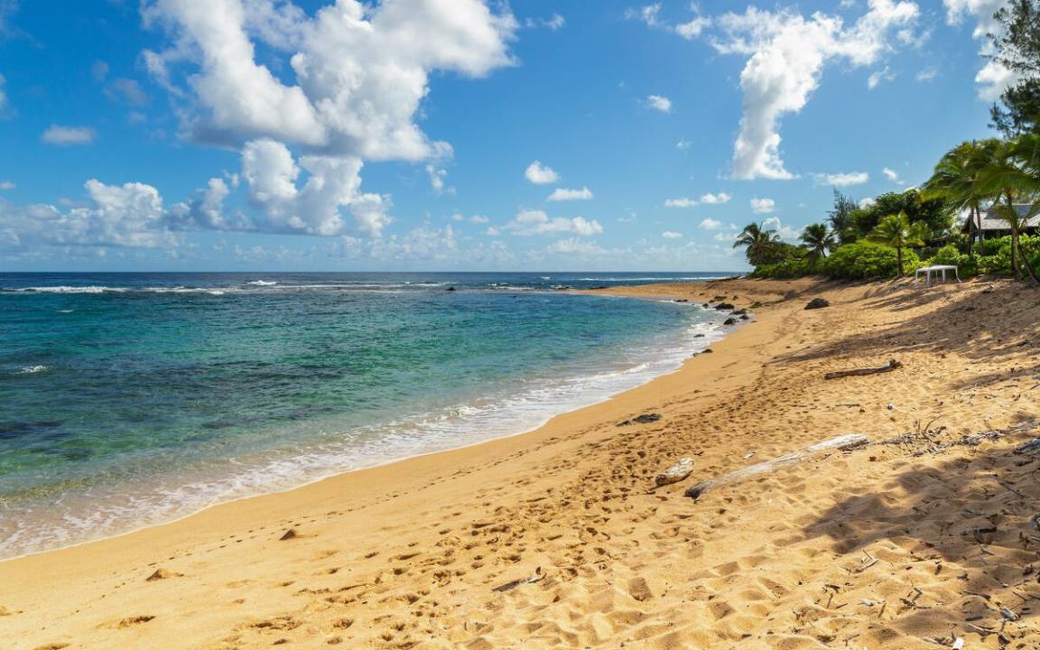 Photo of Others in Wainiha