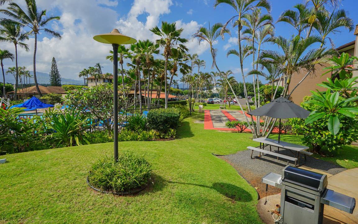 Photo of Others in Kapaa