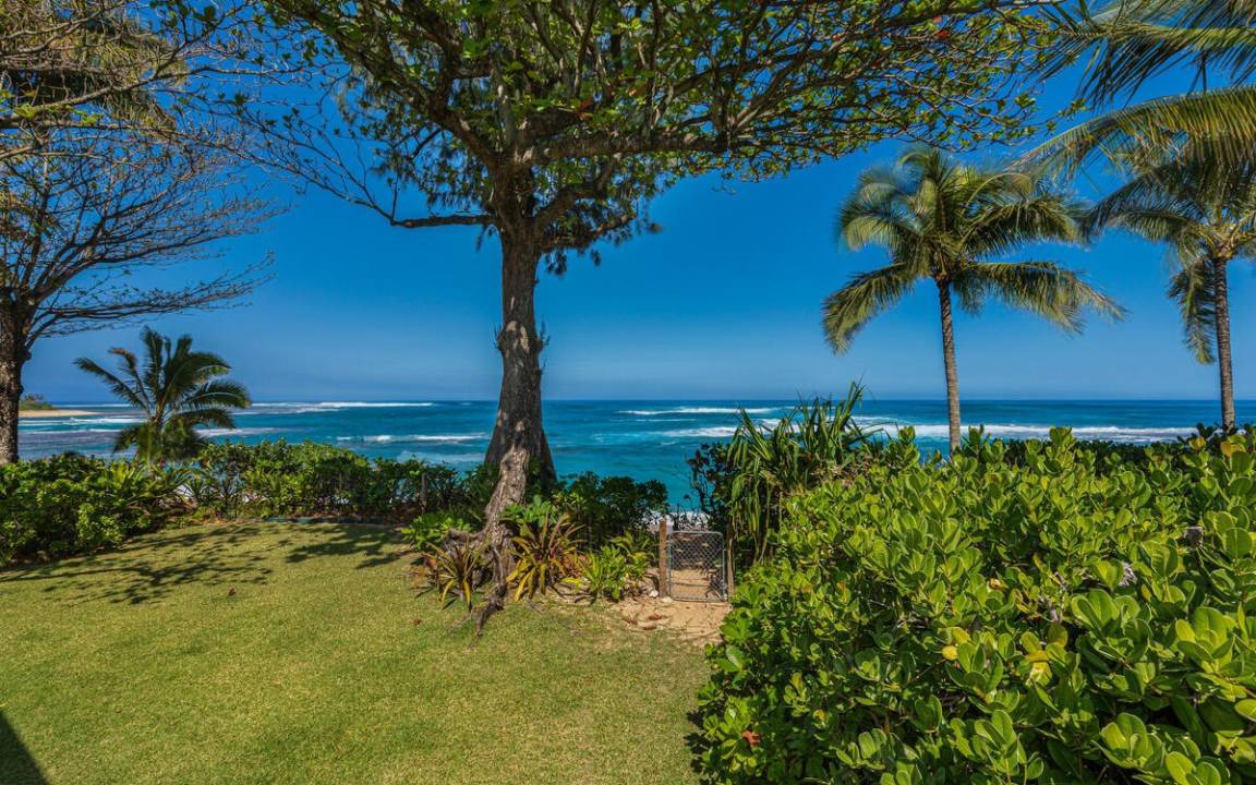 Photo of Others in Wainiha