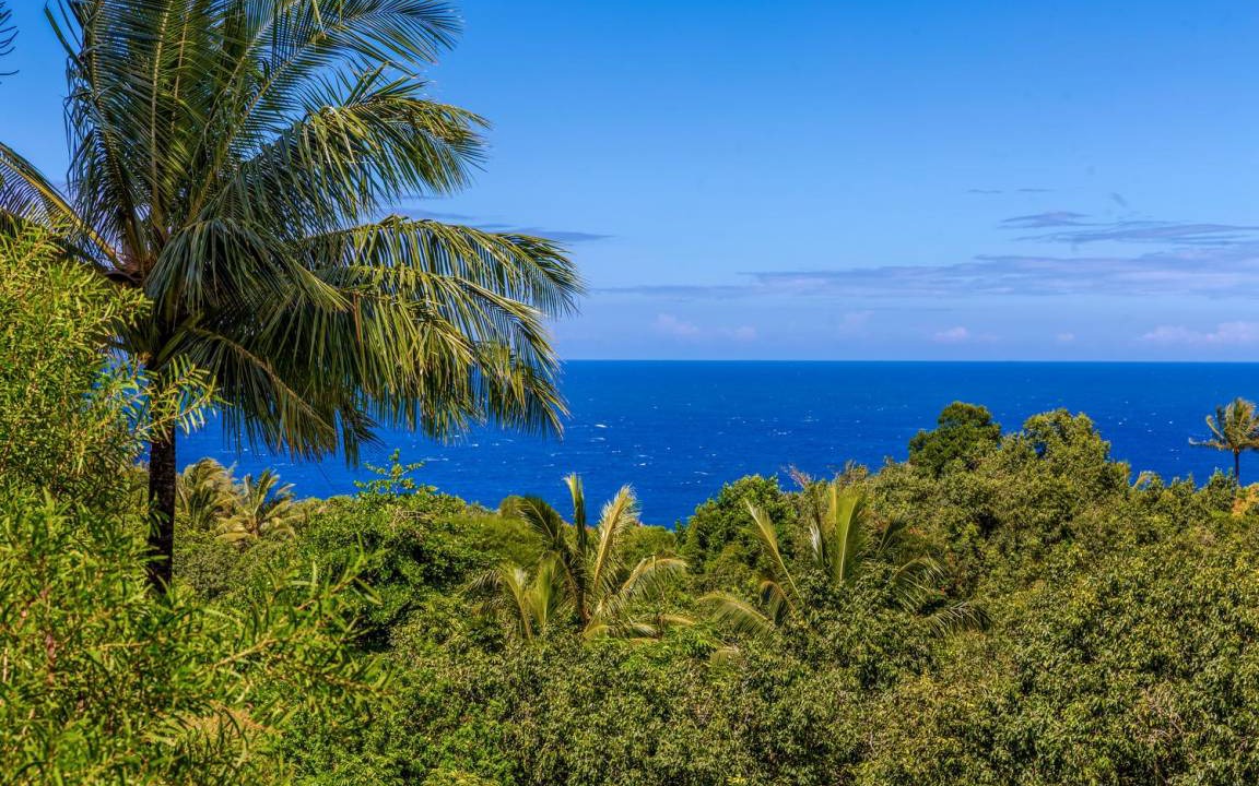 Photo of Others in Princeville