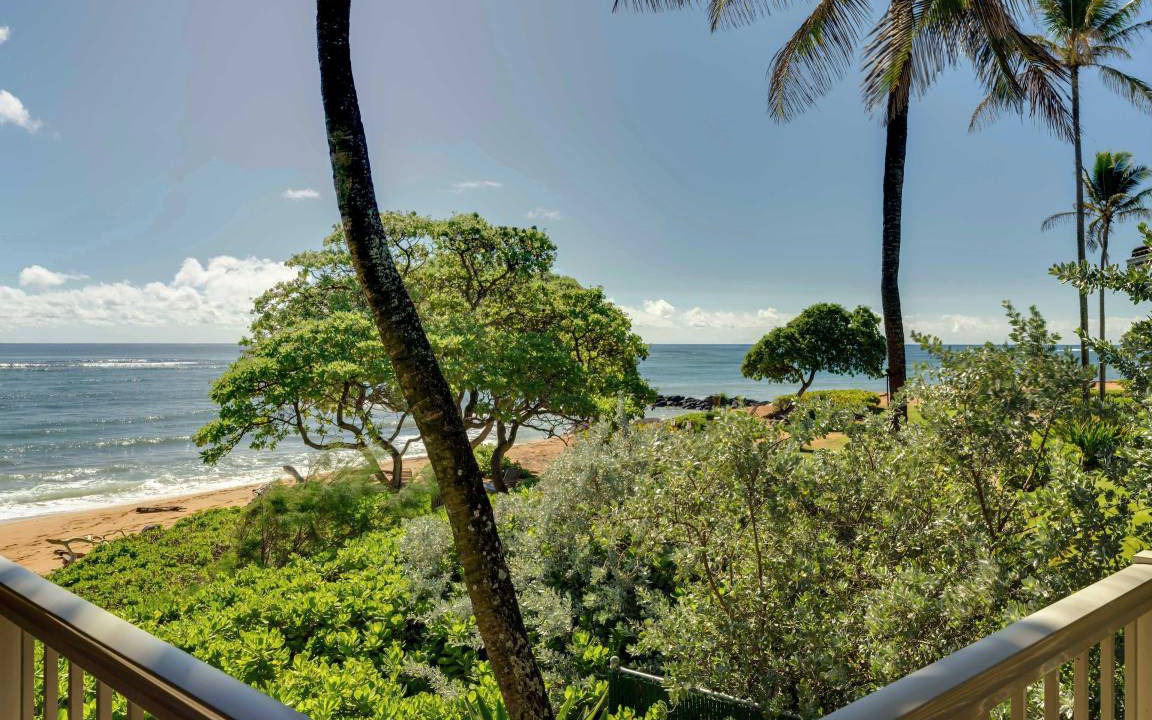 Photo of Others in Wailua