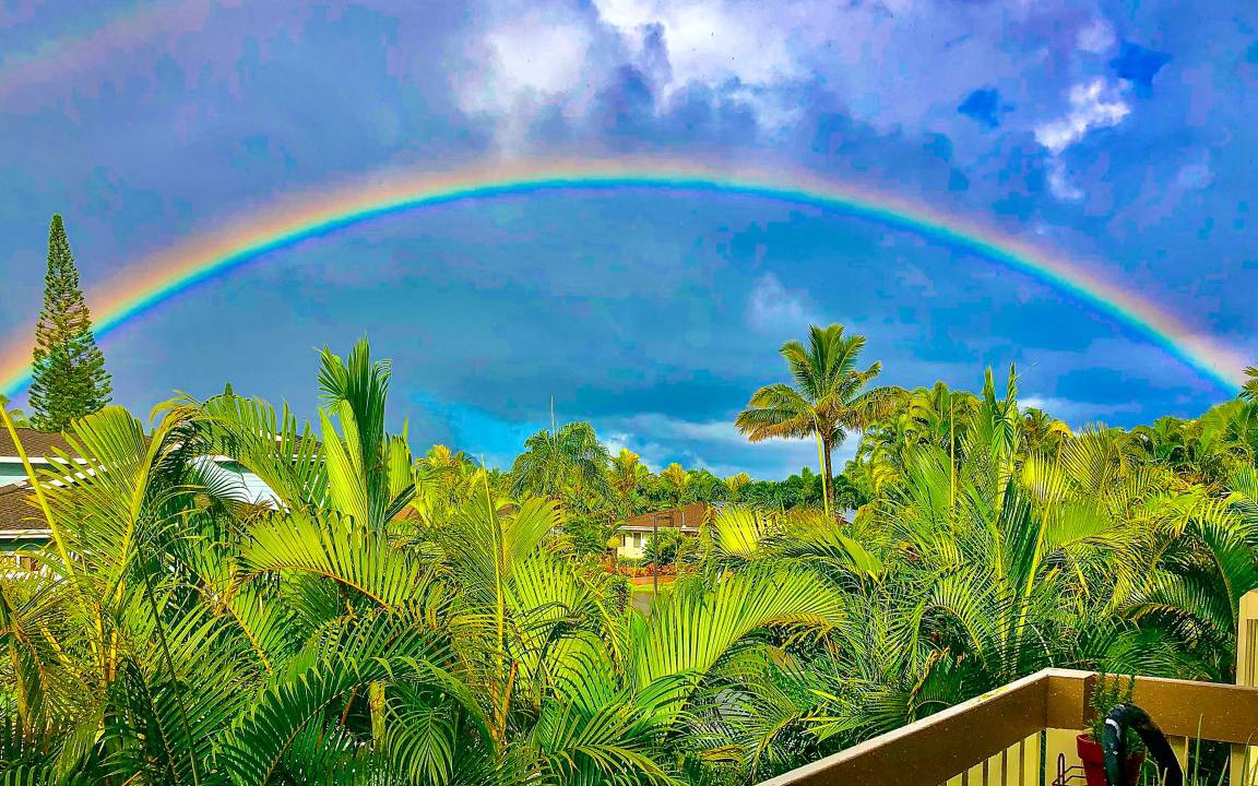 Photo of Others in Princeville