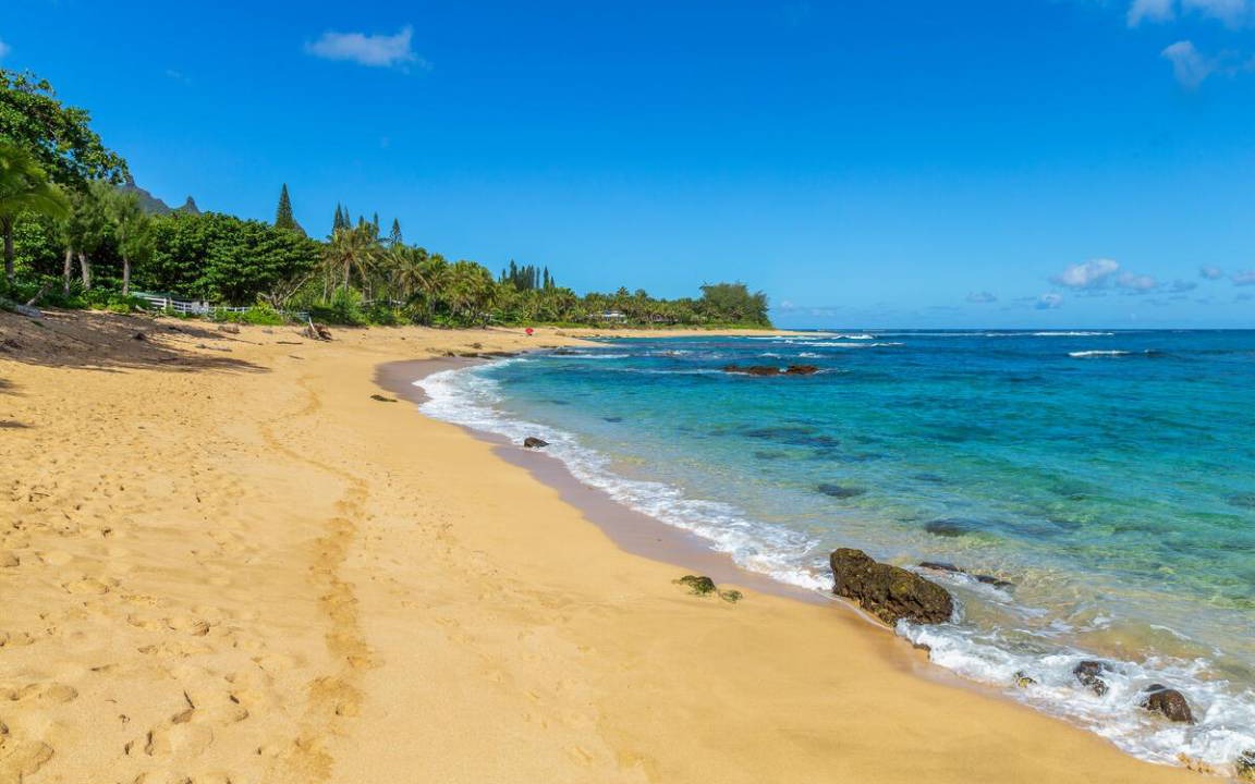 Photo of Others in Wainiha