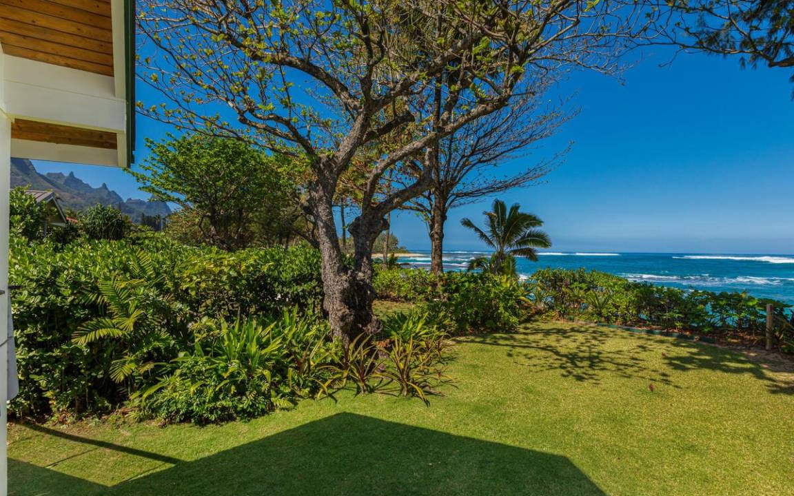 Photo of Others in Wainiha