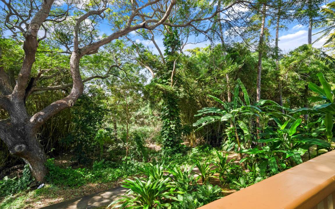 Photo of Others in Poipu