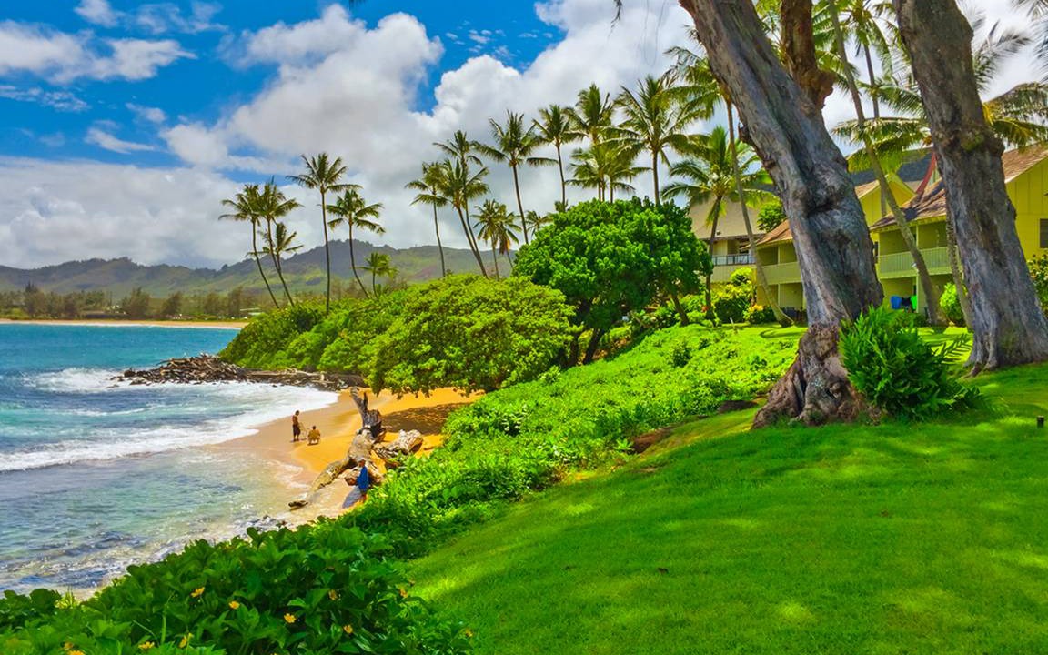 Photo of Others in Wailua House Lots