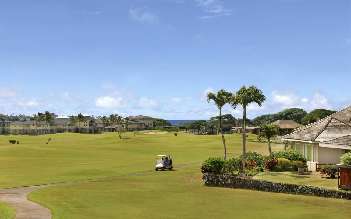 Photo of Others in Poipu