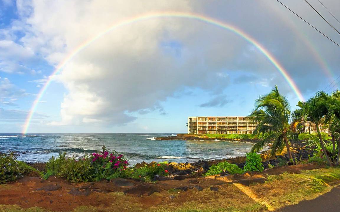 Photo of Others in Poipu