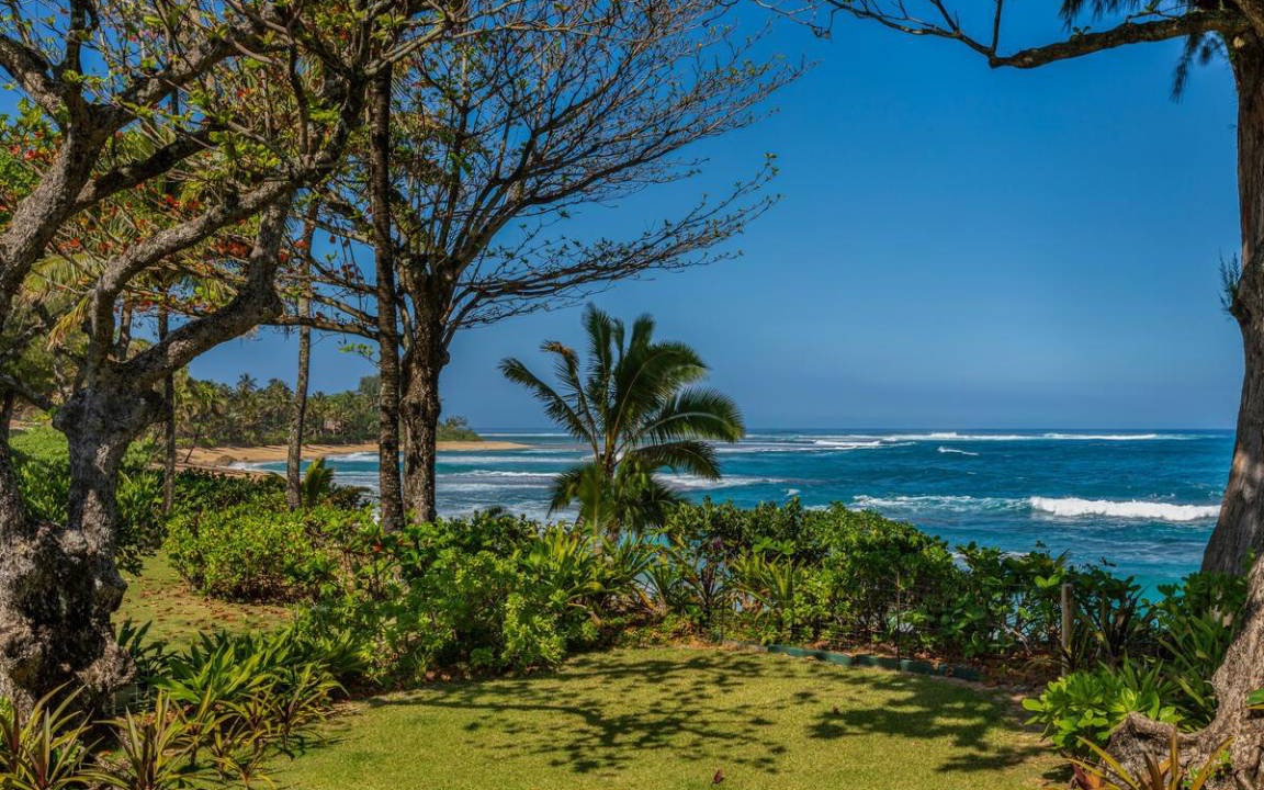 Photo of Others in Wainiha