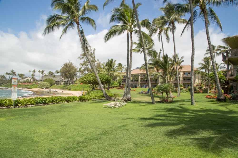 Photo of Others in Wailua
