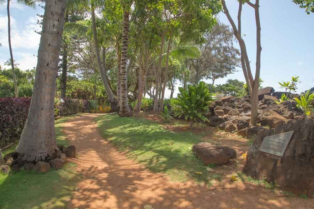 Photo of Others in Wailua