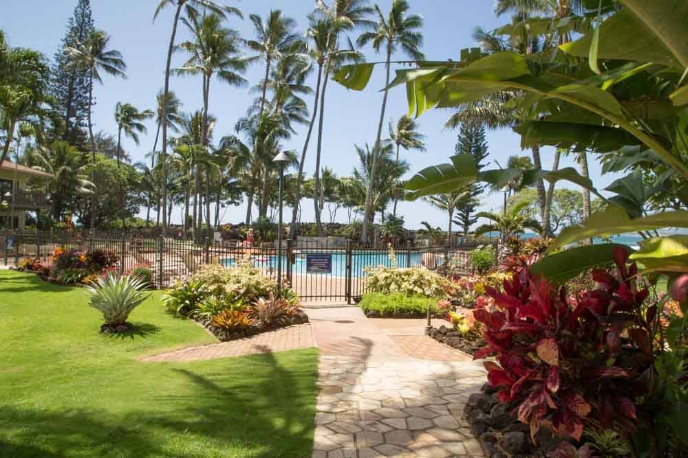 Photo of Others in Wailua