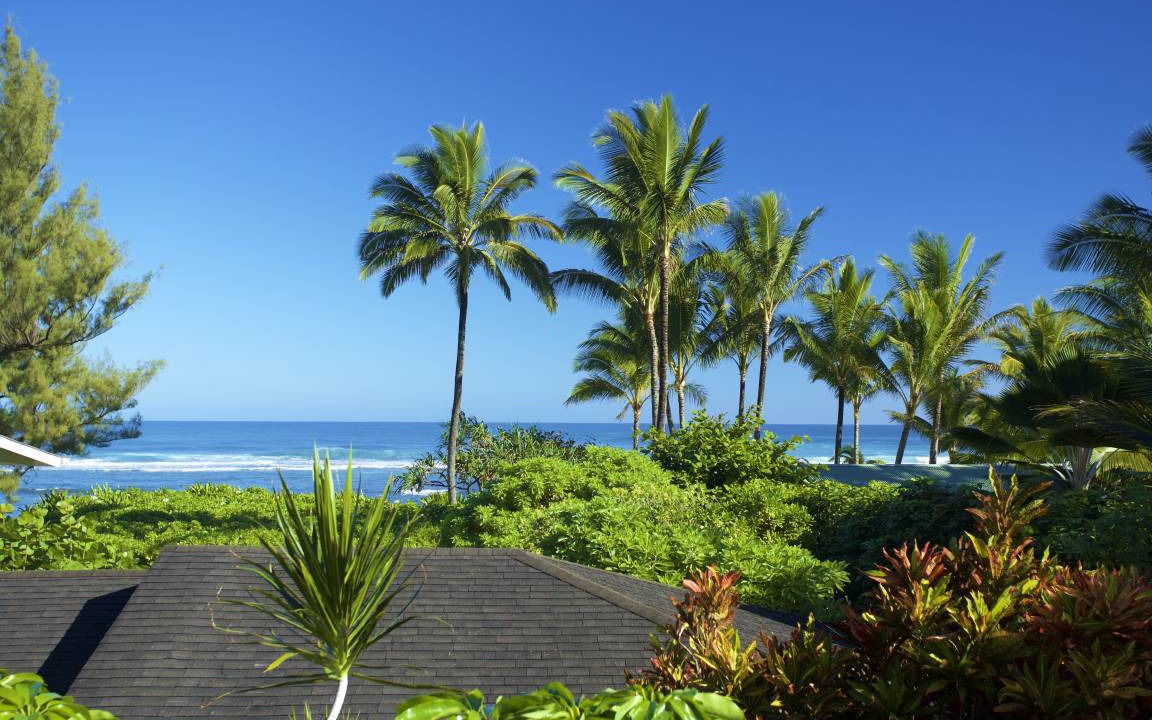 Photo of Others in Wainiha