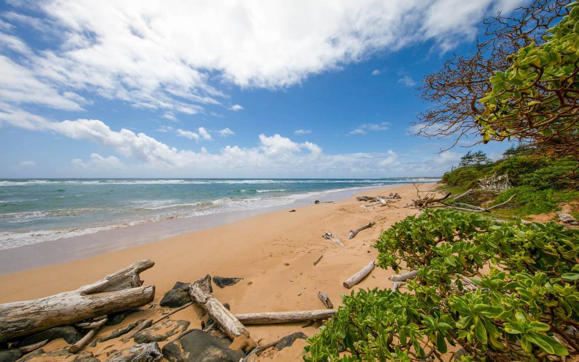 Photo of Others in Lihue