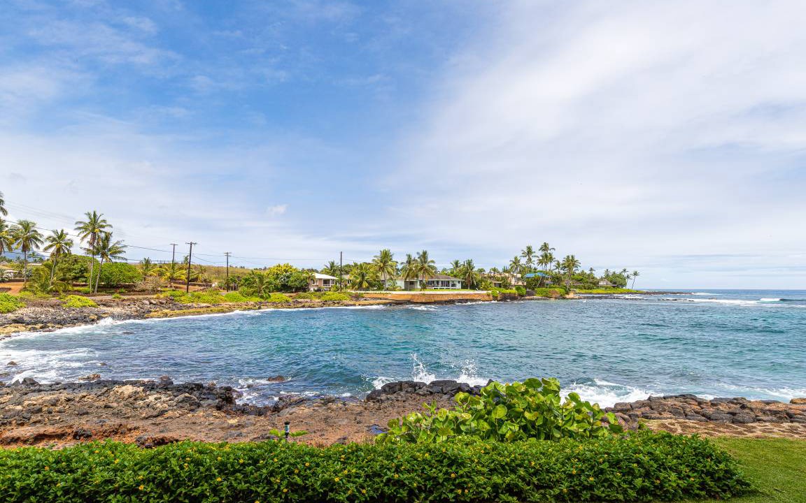Photo of Others in Poipu