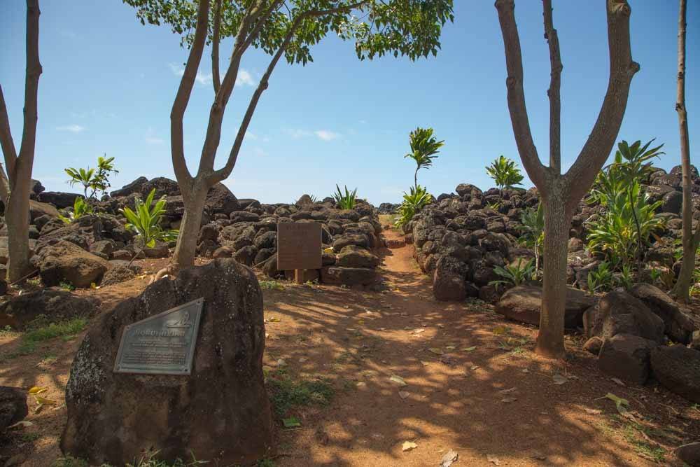 Photo of Others in Wailua