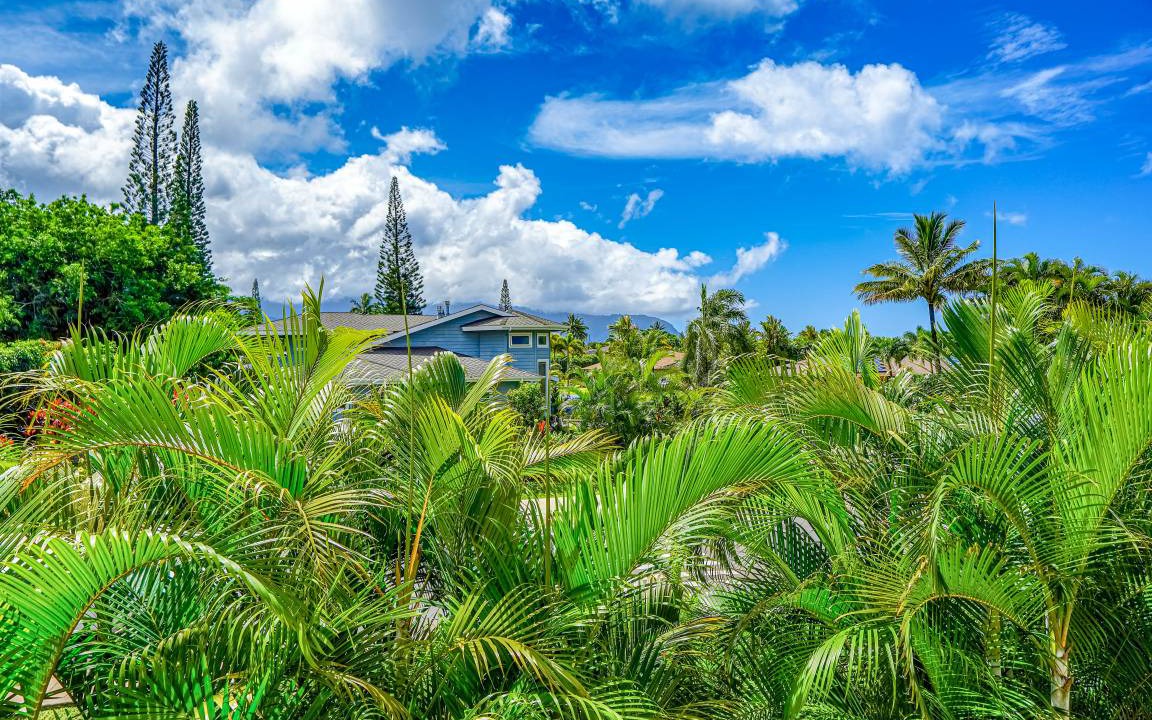 Photo of Others in Princeville