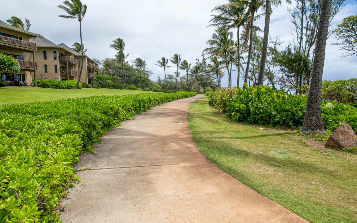 Photo of Others in Lihue