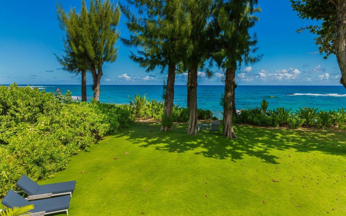 Photo of Others in Wainiha
