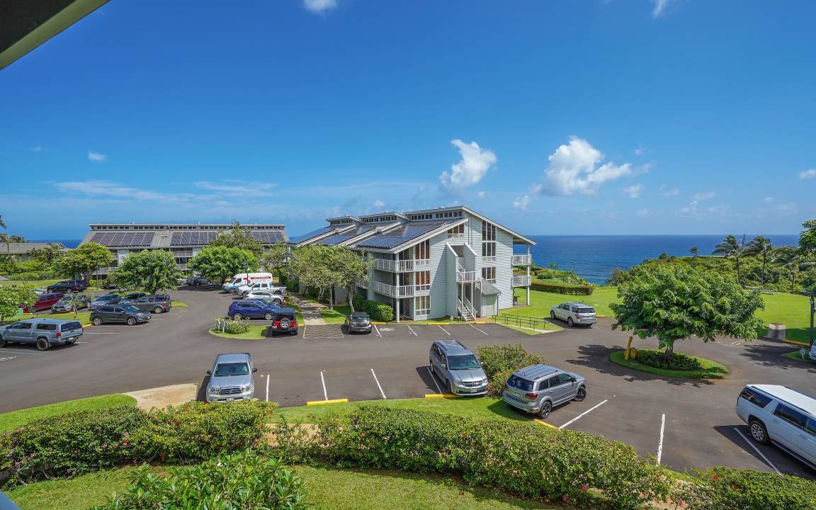 Photo of Others in Princeville
