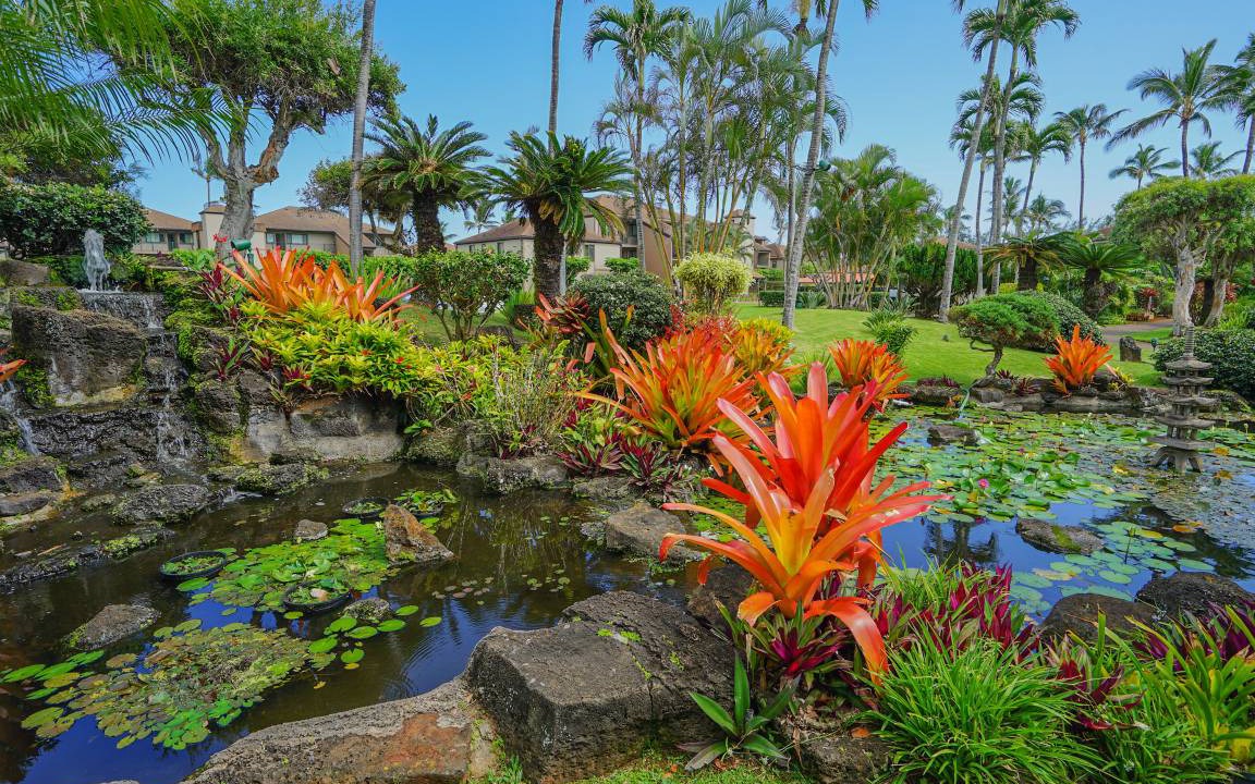 Photo of Others in Kapaa