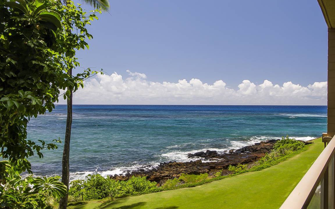 Photo of Others in Poipu