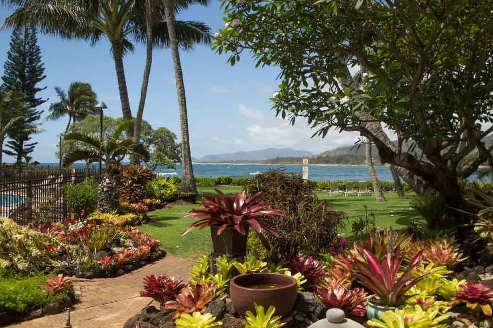 Photo of Others in Wailua
