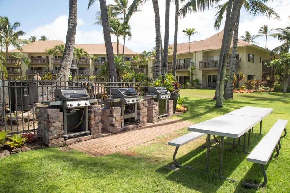 Photo of Others in Wailua
