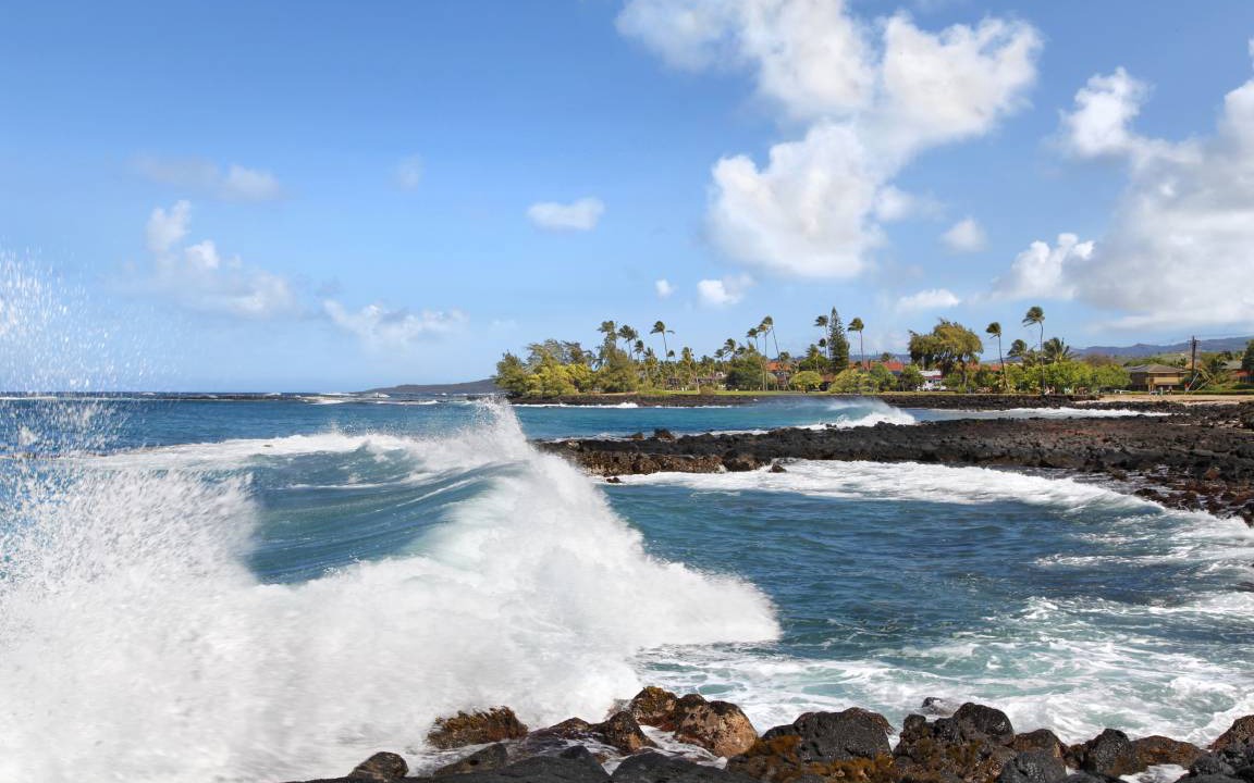 Photo of Others in Poipu