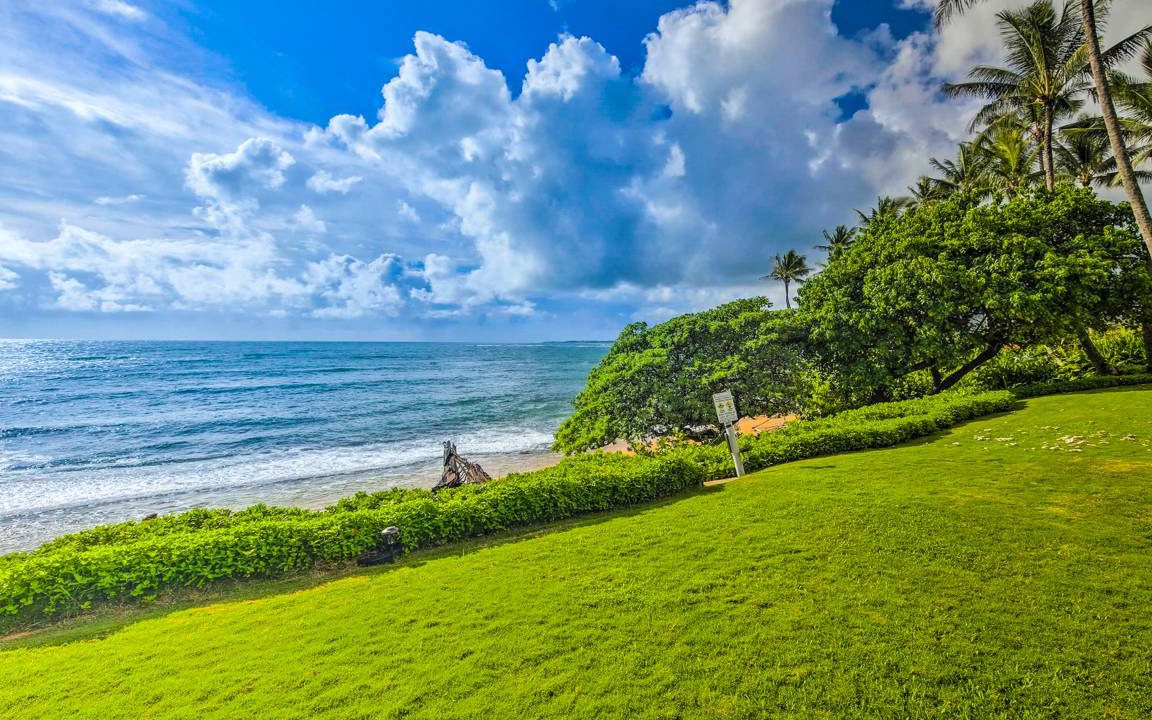 Photo of Others in Wailua