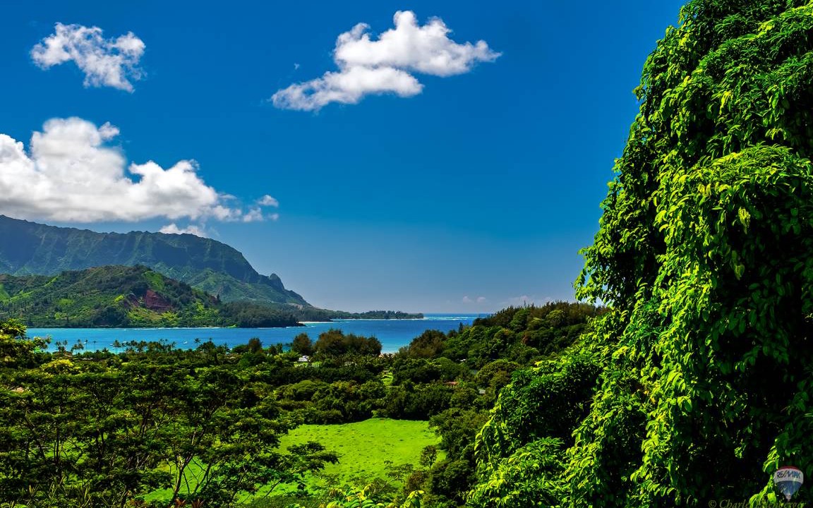 Photo of Others in Princeville