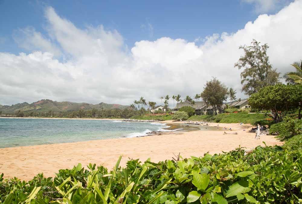 Photo of Others in Wailua