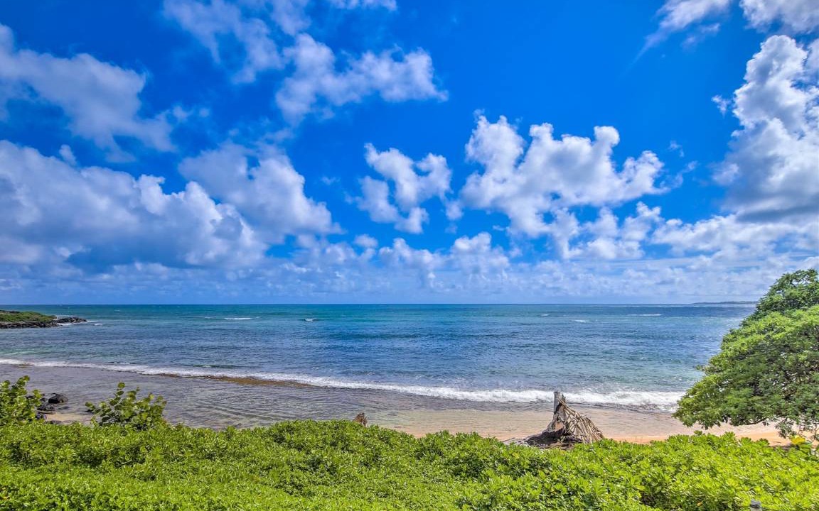 Photo of Others in Wailua