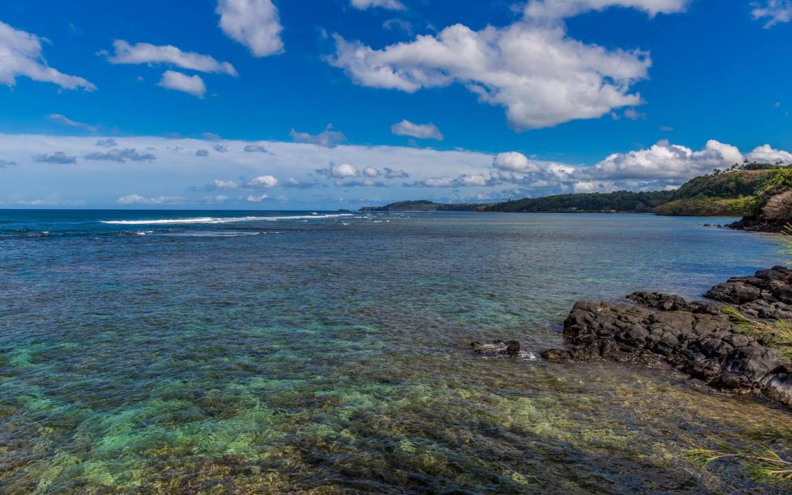 Photo of Others in Princeville