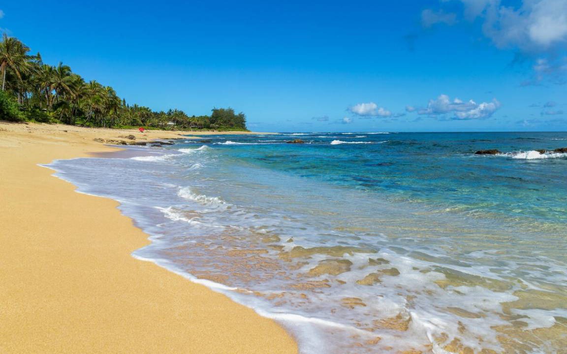 Photo of Others in Wainiha